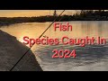 Video Thumbnail for Fish Species Caught In 2024