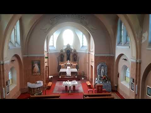 JKS 271 - Ktorý na oltári pod spôsobom chleba