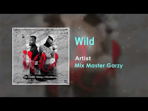 Mix Master Garzy - Wild Official Song (Audio)