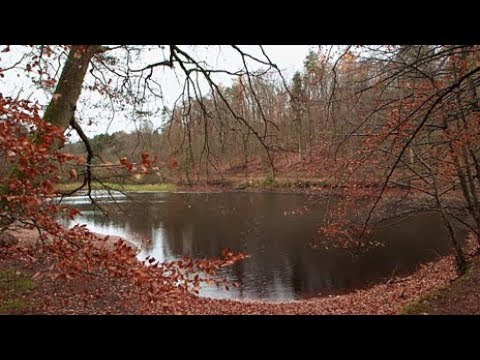 Neues Leben auf altem Grund - Eine Reise entlang der Pfrimm | Fahr mal hin | SWR Fernsehen