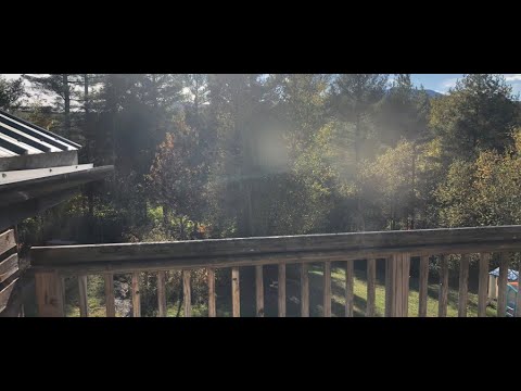 18 Kali Lane 4 - Video 3 of 4