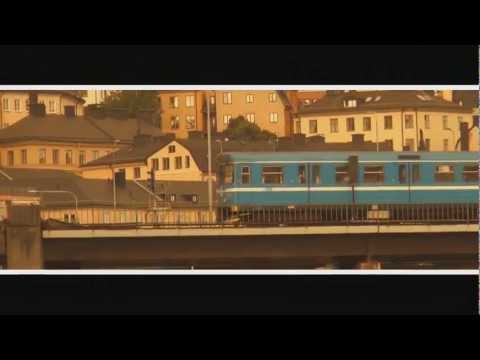 Stöd Sofialäktaren tifo!