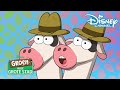 Groen in de Grote Stad | Wakker Worden! | Disney Channel NL
