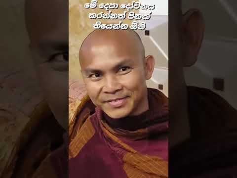 ඒහපස්සිකෝ 🏵️🌼🙏#vairalvideo #travel#walimadasadddaseelaswaminwahanse #tiktok#fly #vairal