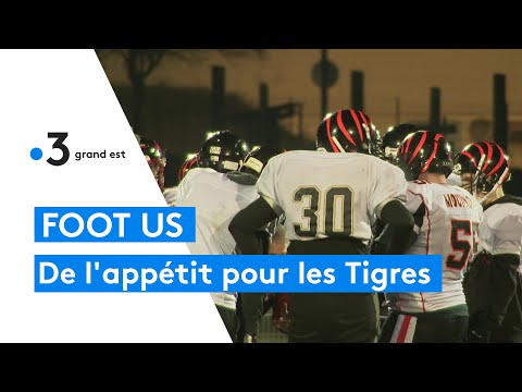 L'équipe de Football Américain des Tigres de Nancy rêve plus grand