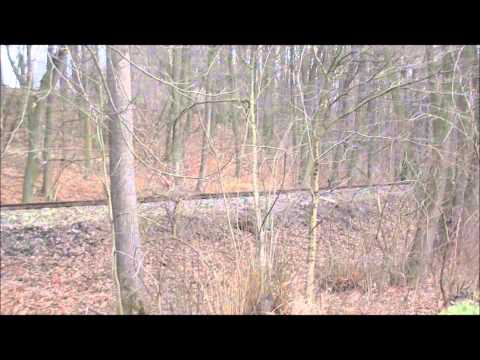 29 12 2013 častolovice Sp 1953 Sp 1954 Sp 1957