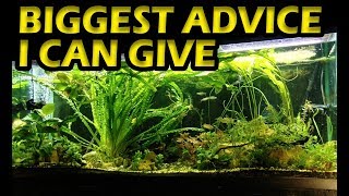 Planted Aquarium - The BIGGEST Advice I Can Give Your Aquarium