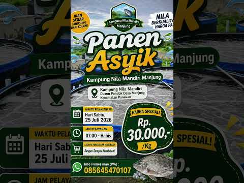 Panen ikan Nila Kampung Nila Mandiri periode bulan Juli 2026
