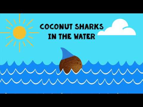 Coconut Sharks in the Water - Twenty One Pilots Studio Version (Cover)