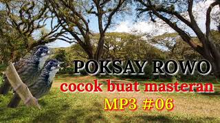 Download lagu poksay rowo gacor cocok buat masteran mp3 Download lagu poksay rowo gacor cocok buat masteran mp3