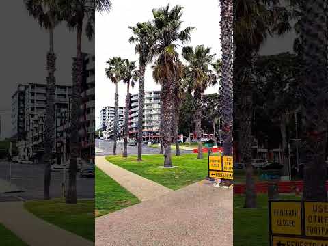 Geelong  Beach #shortsvedios#beach#nature#vic