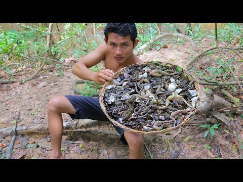 Deep Fried FROGS | Cooking Frog with Egg Recipe in Forest Eating Delicious