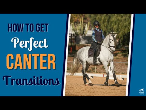 Get Perfect Canter Transitions Every Time