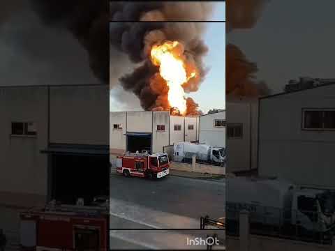 Devastador Incendio En Una Fábrica De Envasado De Aceite De Oliva Al Sur De Córdoba