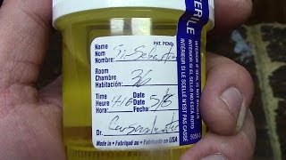 RHNB-Urine! (Candy) Sir Sebastian!