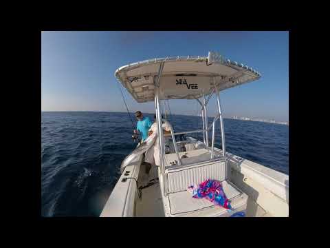 Sailfishing off Pompano Beach Florida