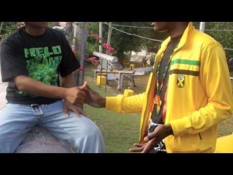 NEW REGGAE MIX 2010 PT.2