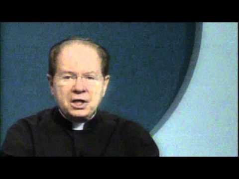 O Pão Nosso 28 Agosto de 2015  -   Pe. F. C. Cardoso