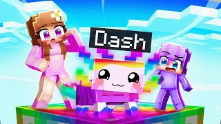 Dash