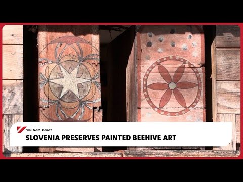 Slovenia preserves painted beehive art | Vietnam Today