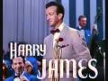 Harry James and Jack Palmer, Vol Vistu Gaily Star..wmv