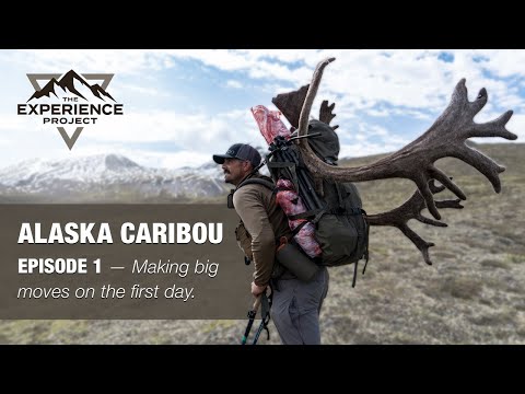 HUNT Episode 1 — Justin's Big Caribou Bull in Alaska — The Experience Project