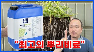 폴리인산 100% 슈퍼FK30 뿌리 발근 차이를 경험하세요  | 농사 100단