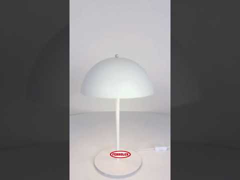 Video L-245B/T