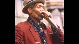 Big Walter Horton - Worried Life