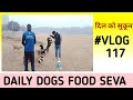 Daily Dogs Food Seva Vlog 117 365 Milk Bread Ki Seva Stray Dogs Ke Liye Dailyvlog Dailyseva
