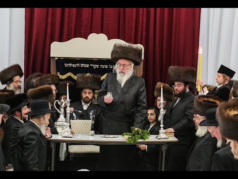 האדמו''ר מוויען בהבדלה במירון - Vien Rabbi