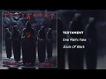 Testament - One Man's Fate