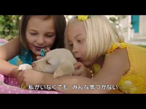 「オンネリとアンネリのおうち」劇場予告