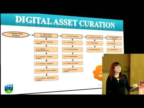 Behind the “pretty pictures” - Audrey Drohan, Dani Montes, Órna Roche