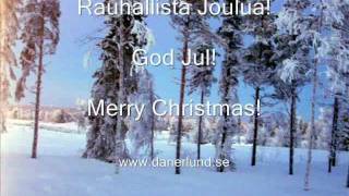 Valkea Joulu - Tapio Danerlund