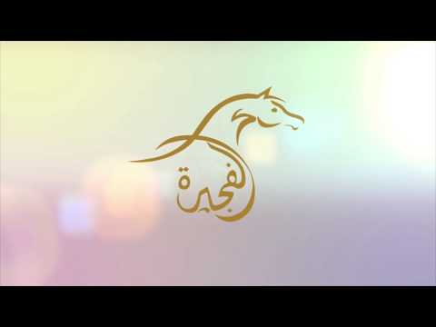 Fujairah Arabian Horse Show 2019_ Day 1