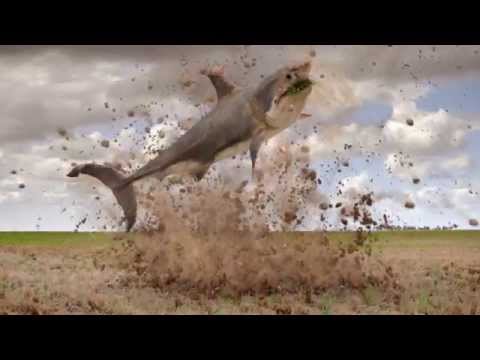 Kyleo® - Einmal drauf alles weg!