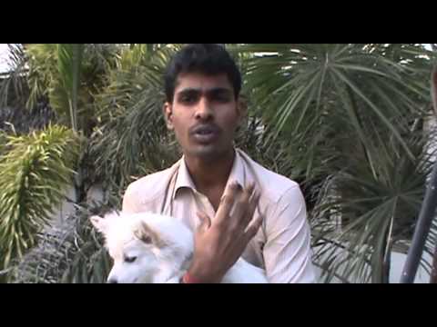 Thank you - Grazie from Veeresh