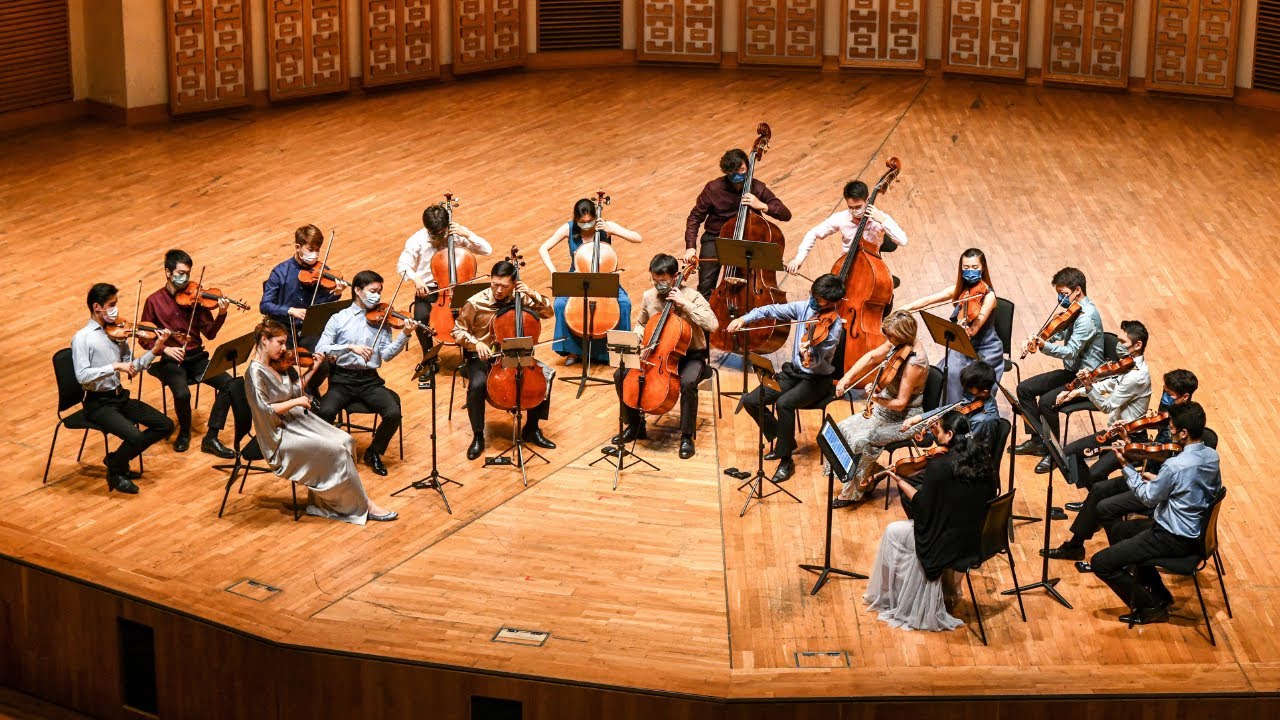 Dvořák: Serenade for Strings in E, Op.22 - I. - Musicus Soloists Hong Kong | Musicus Fest 2022