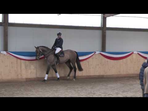 Quiwi Capitol - Quiwi Dream - Cero - Capitano - Stamm 173