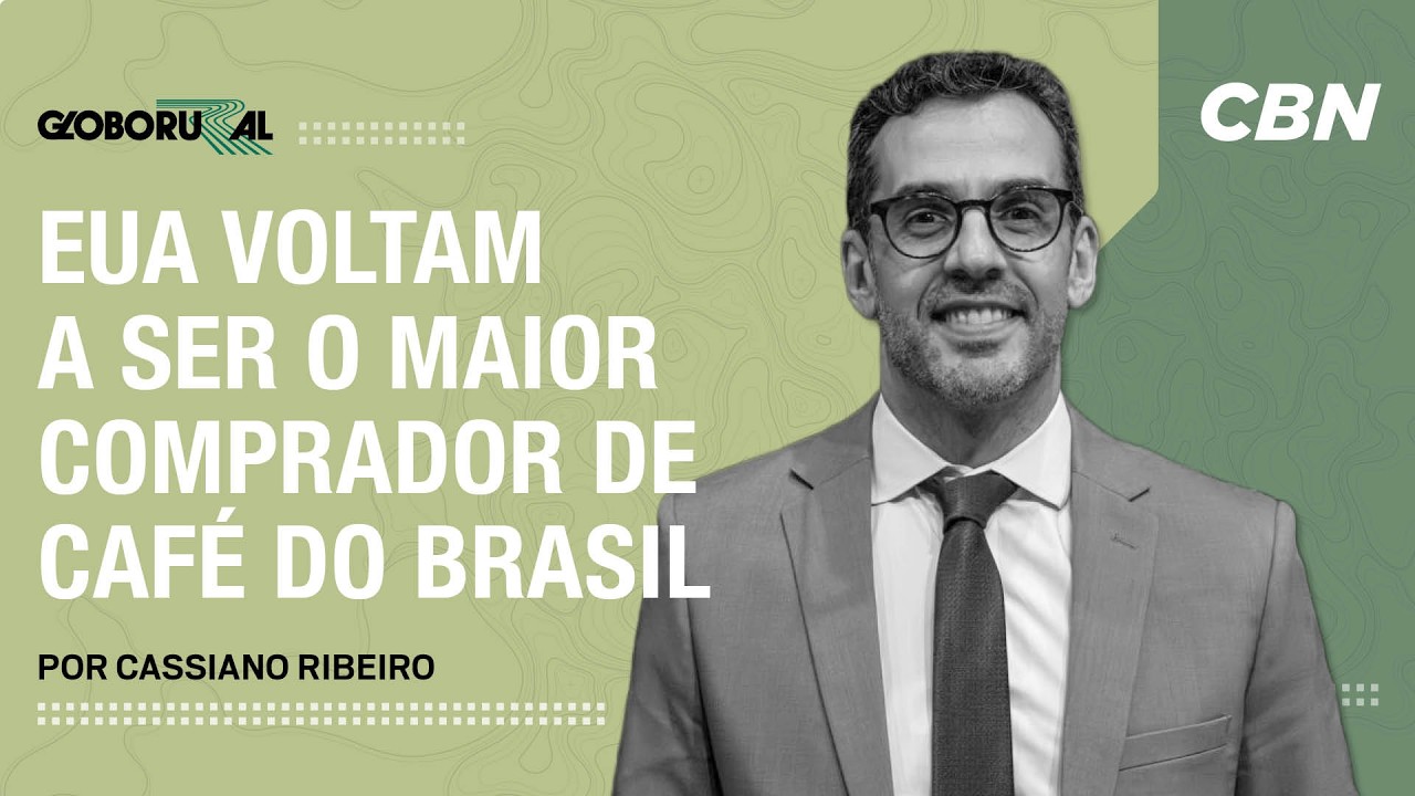 Estados Unidos voltam a ser o maior comprador de café do Brasil | Globo Rural