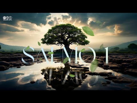 Salmo 1 - Comunidade Católica Trindade Santa
