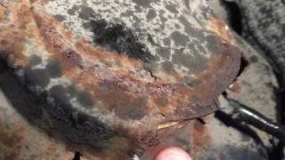 How to drop the fuel tank and change the fuel pump on a 2003 Pontiac Aztec