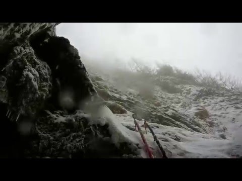 Albișoara Strungii - 2A