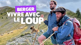 Download lagu Loup et berger : le défi des attaques mp3 Download lagu Loup et berger : le défi des attaques mp3