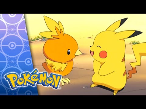 Get the Show on the Road | POKÉMON FULL EPISODE 1 | Season 6