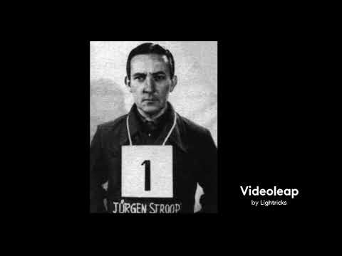Warsaw Ghetto Uprising Video Summary (Resistance)
