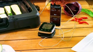 Rosenstein & Söhne NX5561 WLAN-Grill-Thermometer mit 1 Fühler und App-Kontrolle, bis 300°