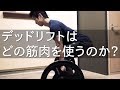デッドリフトはどの筋肉を使うのか？