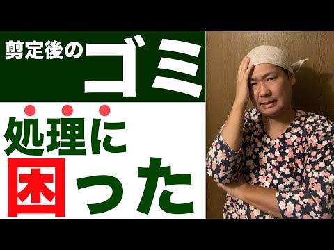 折れた木の枝を修復するにはどうすればよいですか?シンプルな解決策があります。  庭園